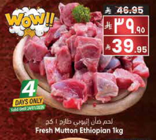 available at ستي فلاور in مملكة العربية السعودية, السعودية, سعودية - حائل‎