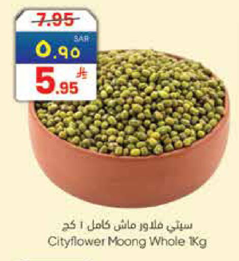 available at City Flower in KSA, Saudi Arabia, Saudi - Hail