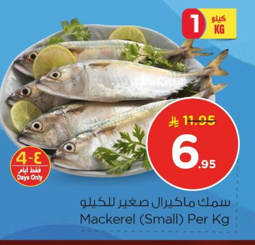 available at نستو in مملكة العربية السعودية, السعودية, سعودية - المنطقة الشرقية