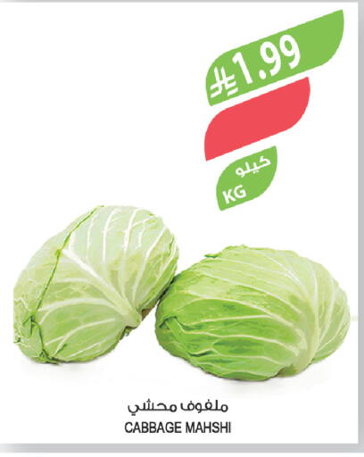 Cabbage available at Farm  in KSA, Saudi Arabia, Saudi - Arar