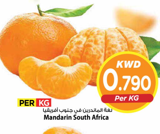 Mandarin from South Africa available at Mark & Save in Kuwait - Ahmadi Governorate