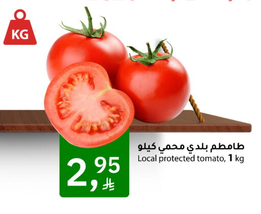 Tomato available at ميم سوق in مملكة العربية السعودية, السعودية, سعودية - الأحساء‎