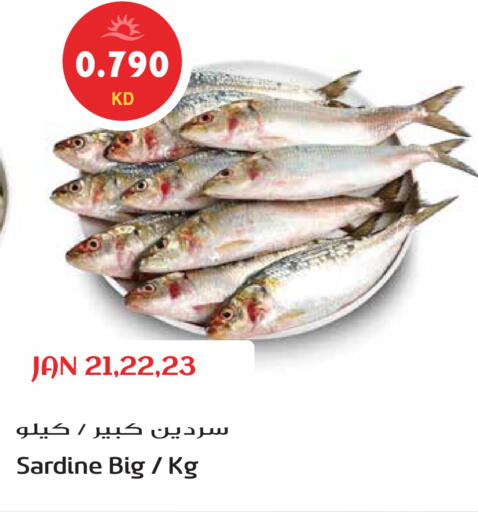 available at Grand Hyper in Kuwait - Ahmadi Governorate