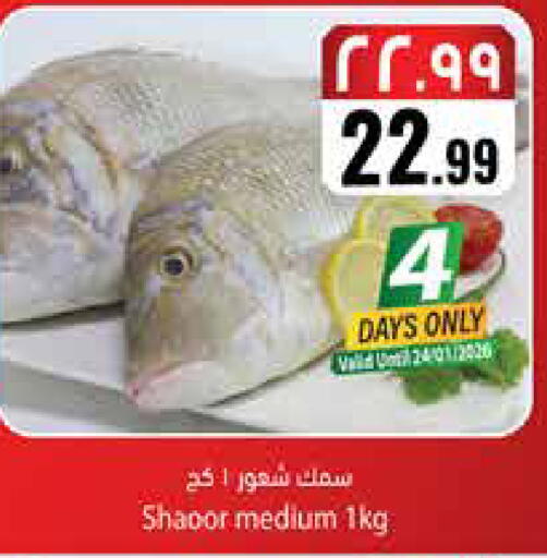 available at City Flower in KSA, Saudi Arabia, Saudi - Najran