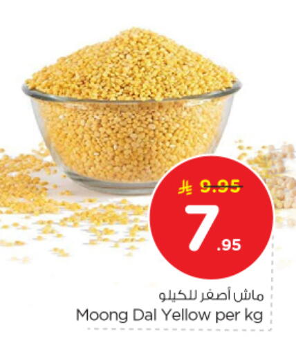 available at نستو in مملكة العربية السعودية, السعودية, سعودية - الرياض