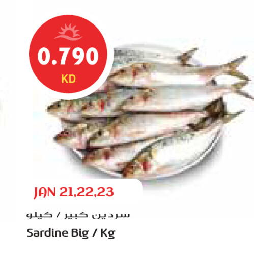 available at Grand Costo in Kuwait - Ahmadi Governorate