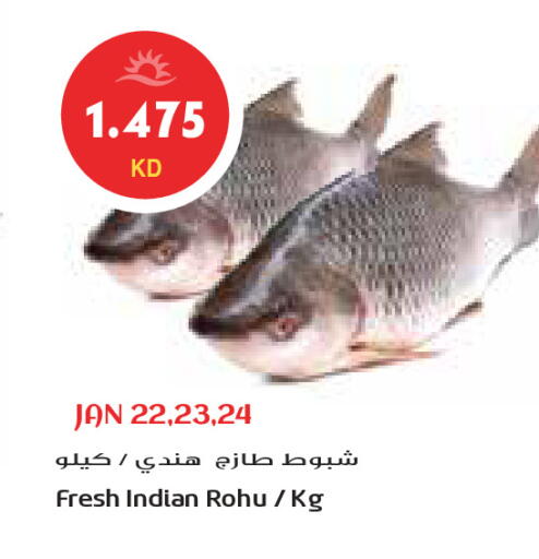 available at جراند كوستو in الكويت - محافظة الأحمدي