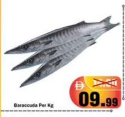 available at رويال جلف هايبرماركت in الإمارات العربية المتحدة , الامارات - أبو ظبي