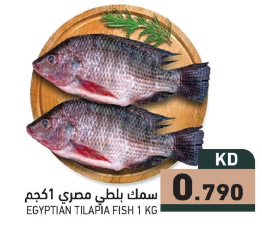 available at  رامز in الكويت - محافظة الجهراء