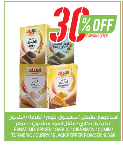 Cumin Garlic Turmeric Cinnamon Pepper available at Farm  in KSA, Saudi Arabia, Saudi - Sakaka