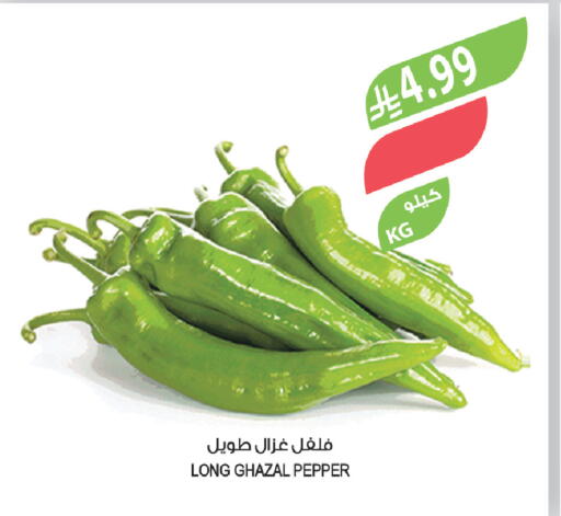 Pepper available at المزرعة in مملكة العربية السعودية, السعودية, سعودية - أبها