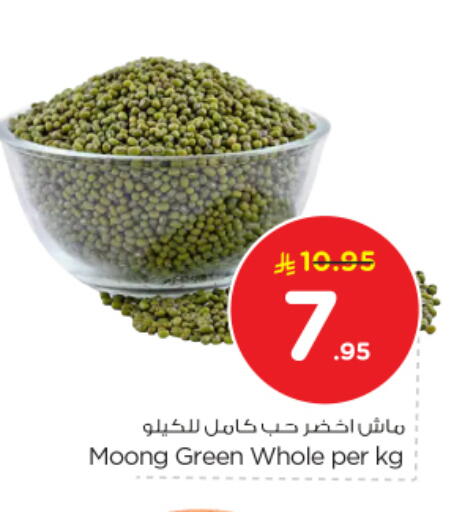 available at نستو in مملكة العربية السعودية, السعودية, سعودية - الخرج