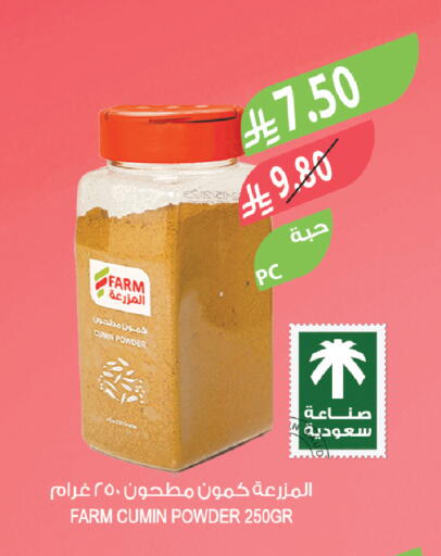 Cumin available at Farm  in KSA, Saudi Arabia, Saudi - Saihat