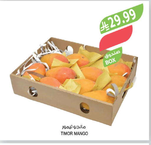 Mango available at Farm  in KSA, Saudi Arabia, Saudi - Al Bahah