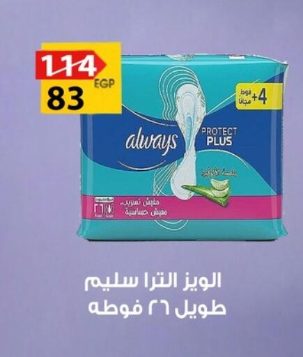 available at Fathalla Market  in Egypt - Cairo