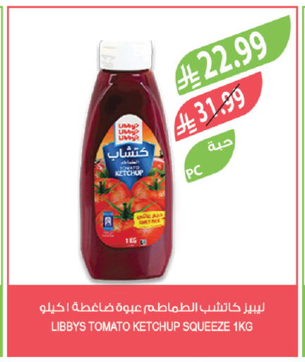 Tomato available at Farm  in KSA, Saudi Arabia, Saudi - Al-Kharj