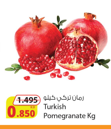 Pomegranate from Turkey available at شركة المنتجات الزراعية الغذائية in الكويت - محافظة الأحمدي