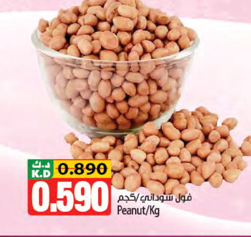 Mango available at Mango Hypermarket  in Kuwait - Ahmadi Governorate