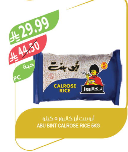 available at Farm  in KSA, Saudi Arabia, Saudi - Jazan