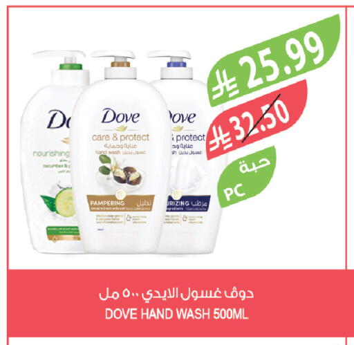 Cucumber available at Farm  in KSA, Saudi Arabia, Saudi - Saihat