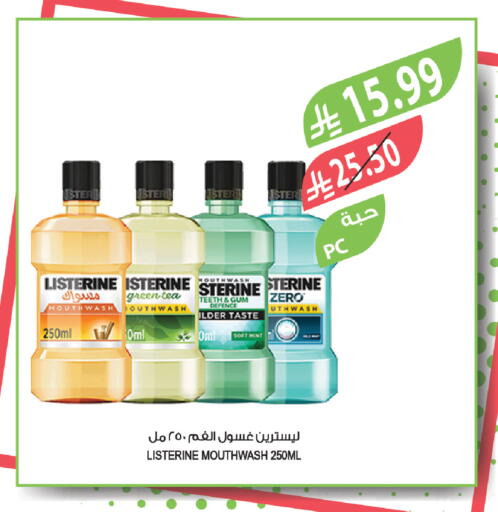 Mint available at المزرعة in مملكة العربية السعودية, السعودية, سعودية - الخرج