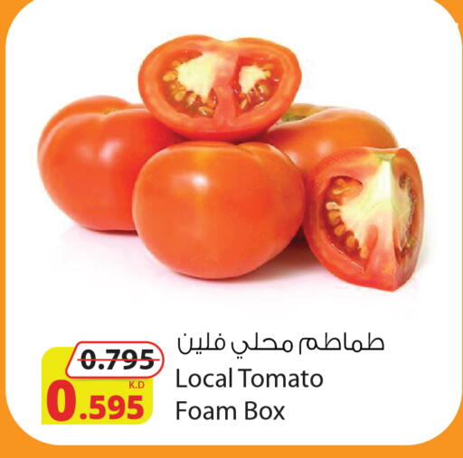 Tomato available at شركة المنتجات الزراعية الغذائية in الكويت - مدينة الكويت