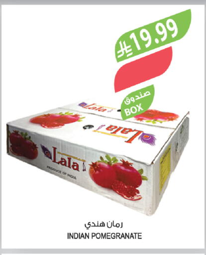 Pomegranate from India available at Farm  in KSA, Saudi Arabia, Saudi - Saihat