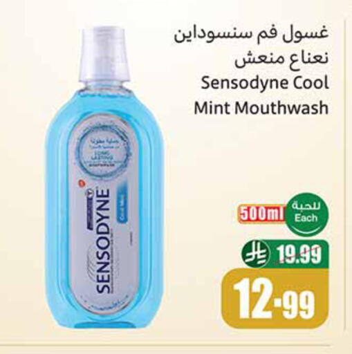 Mint available at Othaim Markets in KSA, Saudi Arabia, Saudi - Ar Rass