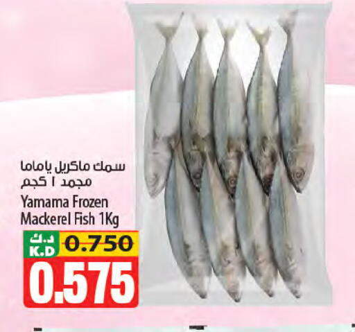 Mango available at Mango Hypermarket  in Kuwait - Kuwait City