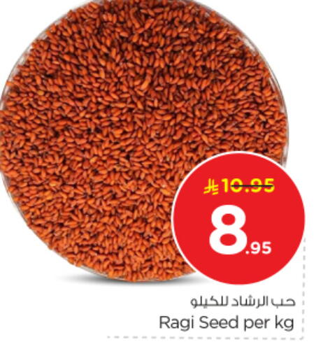 available at Nesto in KSA, Saudi Arabia, Saudi - Al Majmaah