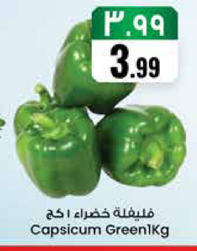 Capsicum available at ستي فلاور in مملكة العربية السعودية, السعودية, سعودية - نجران
