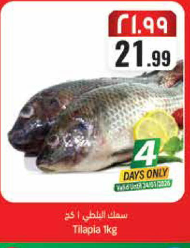 available at City Flower in KSA, Saudi Arabia, Saudi - Hail