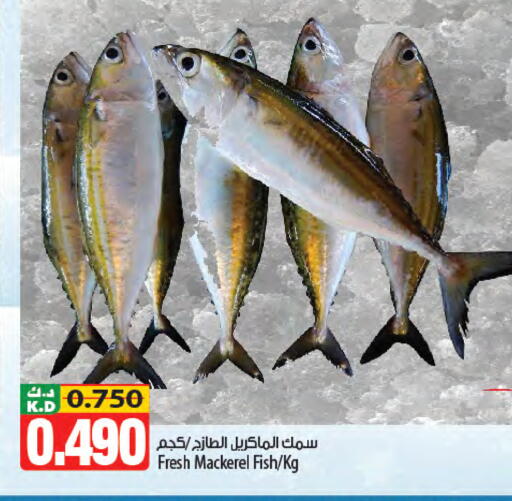 Mango available at Mango Hypermarket  in Kuwait - Ahmadi Governorate