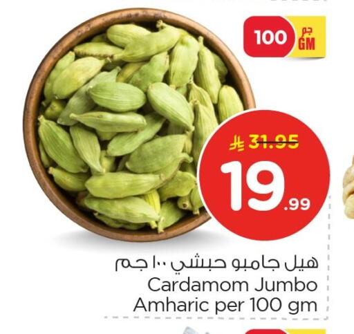 Cardamom available at نستو in مملكة العربية السعودية, السعودية, سعودية - الجبيل‎
