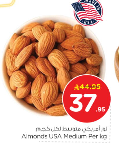 available at نستو in مملكة العربية السعودية, السعودية, سعودية - الخرج
