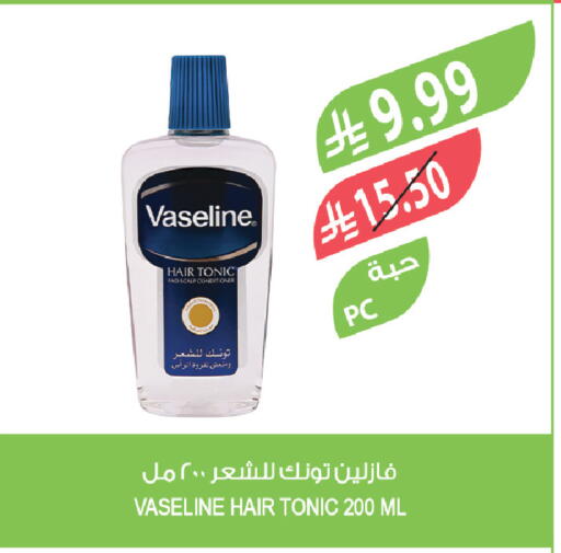 available at المزرعة in مملكة العربية السعودية, السعودية, سعودية - جازان