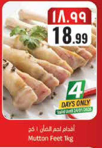 available at ستي فلاور in مملكة العربية السعودية, السعودية, سعودية - حائل‎