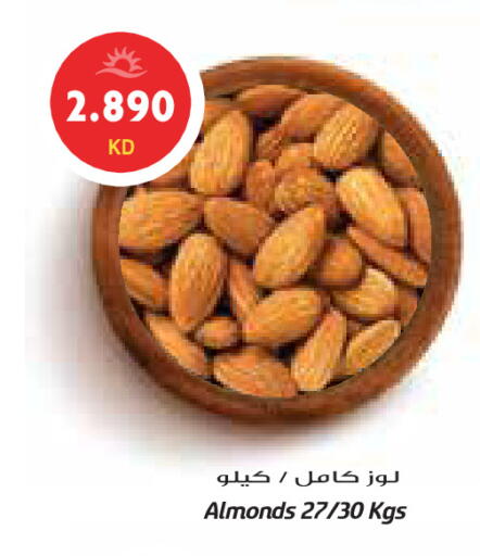 available at جراند كوستو in الكويت - مدينة الكويت