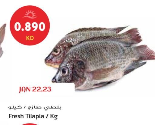 available at جراند هايبر in الكويت - محافظة الجهراء