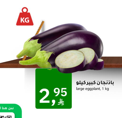 Eggplant available at Meem Market  in KSA, Saudi Arabia, Saudi - Al Hasa
