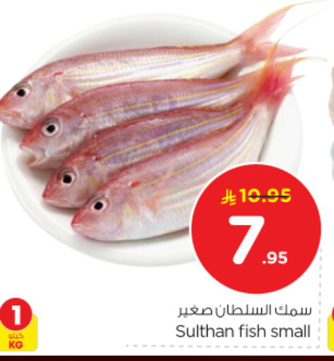 available at نستو in مملكة العربية السعودية, السعودية, سعودية - الرياض