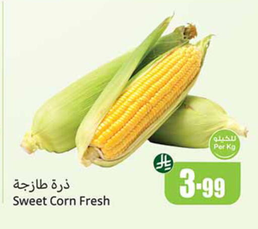 available at Othaim Markets in KSA, Saudi Arabia, Saudi - Qatif