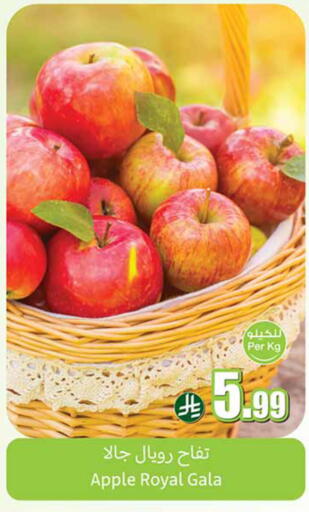 Apple available at Othaim Markets in KSA, Saudi Arabia, Saudi - Wadi ad Dawasir