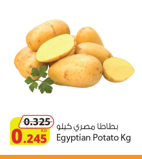 Potato available at Agricultural Food Products Co. in Kuwait - Kuwait City