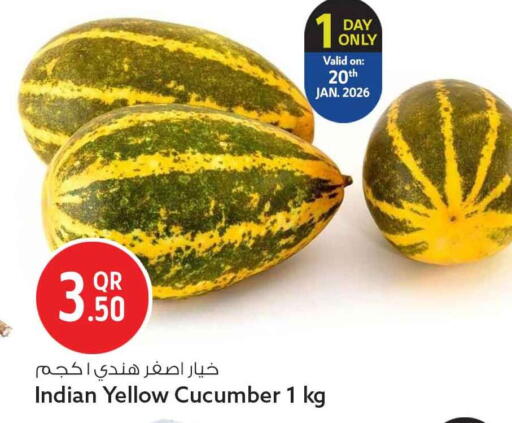 Cucumber available at Safari Hypermarket in Qatar - Al Wakra