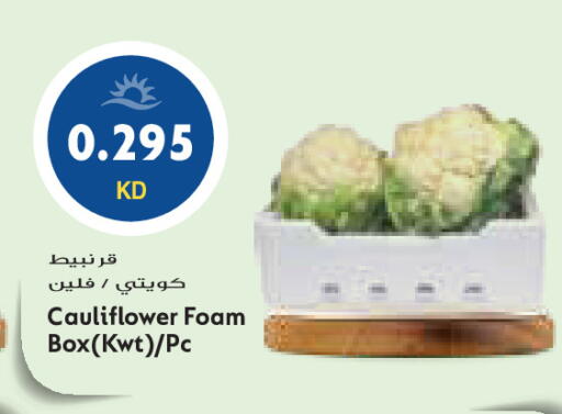 Cauliflower available at Grand Costo in Kuwait - Ahmadi Governorate