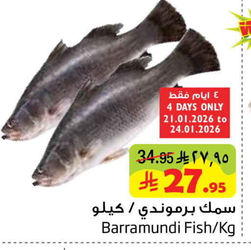 available at Layan Hyper in KSA, Saudi Arabia, Saudi - Al Khobar