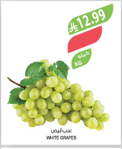 Grapes available at Farm  in KSA, Saudi Arabia, Saudi - Qatif