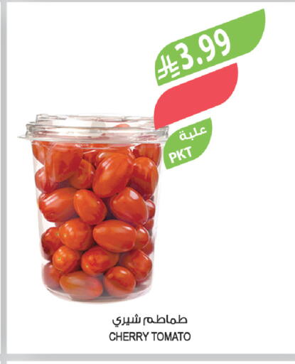 Cherry Cherry tomato available at Farm  in KSA, Saudi Arabia, Saudi - Arar