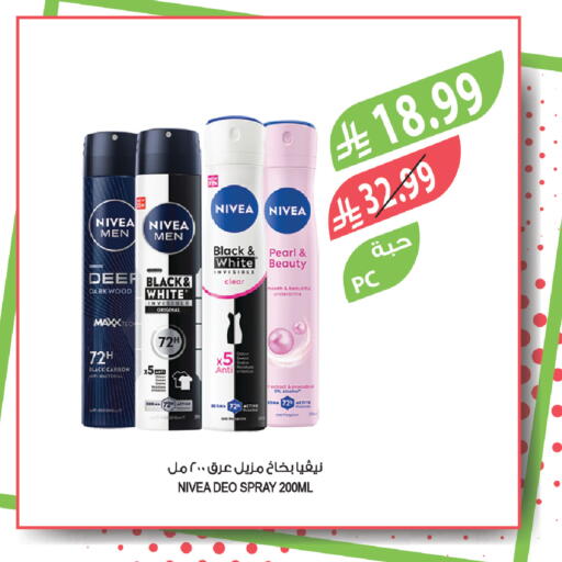 Avocado available at Farm  in KSA, Saudi Arabia, Saudi - Yanbu